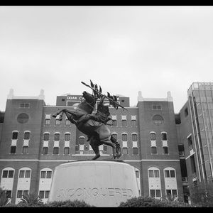 Meet your Posher, Sophia